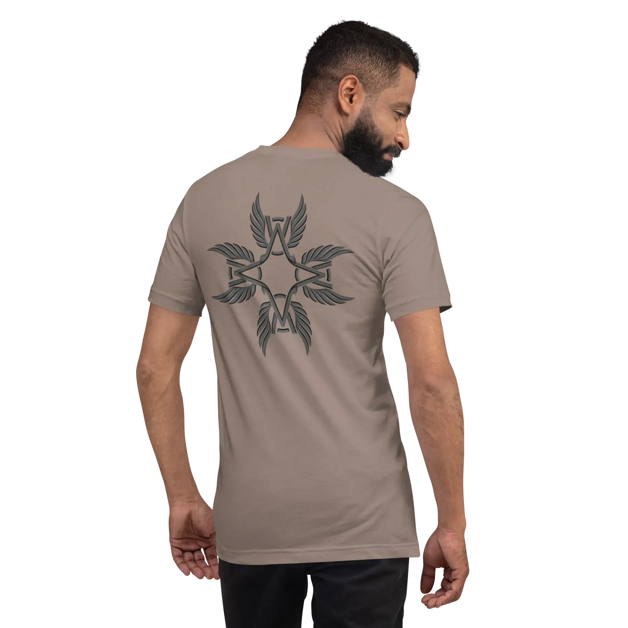 T-shirt Apex Wing Star - Windsurf Addict