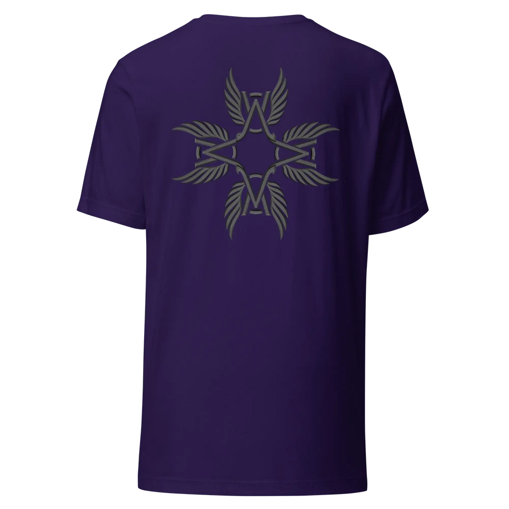 T-shirt Apex Wing Star - Windsurf Addict